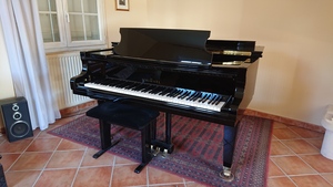 Piano SCHIMMEL SP 189